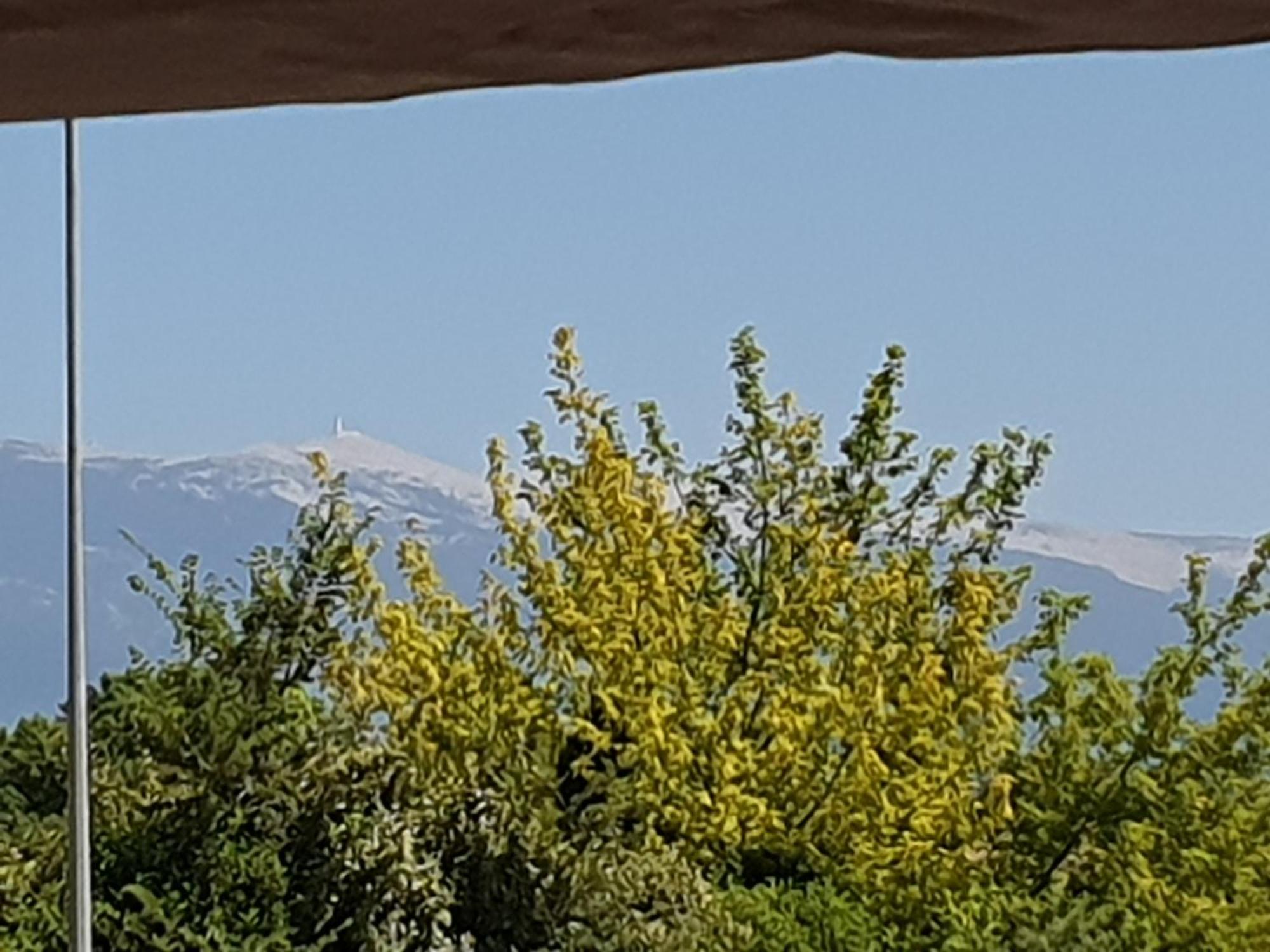 Pura Vida Hotel Mazan Kültér fotó